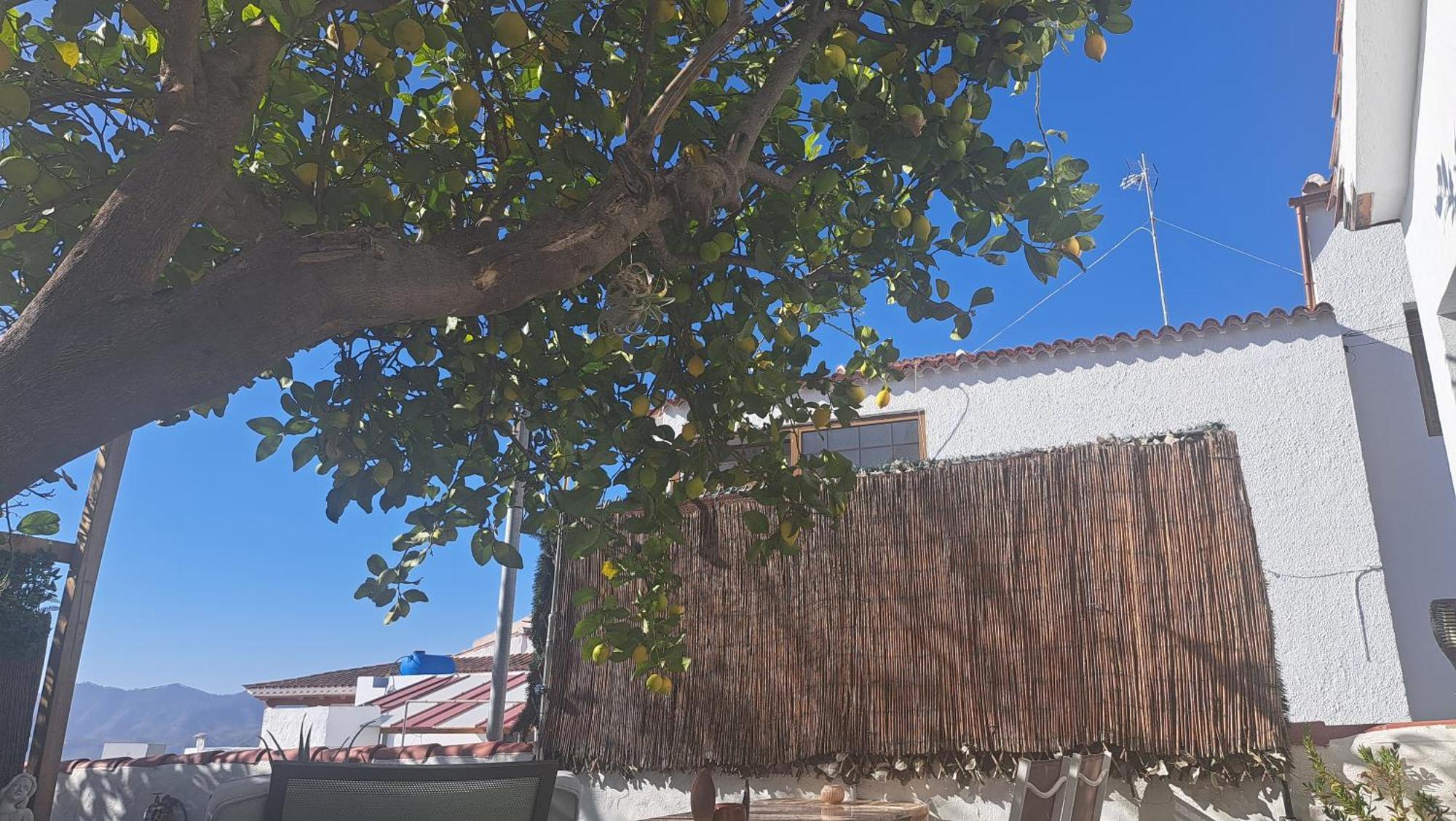 Gasthaus Casa Santana Segura Tejeda  Zimmer foto