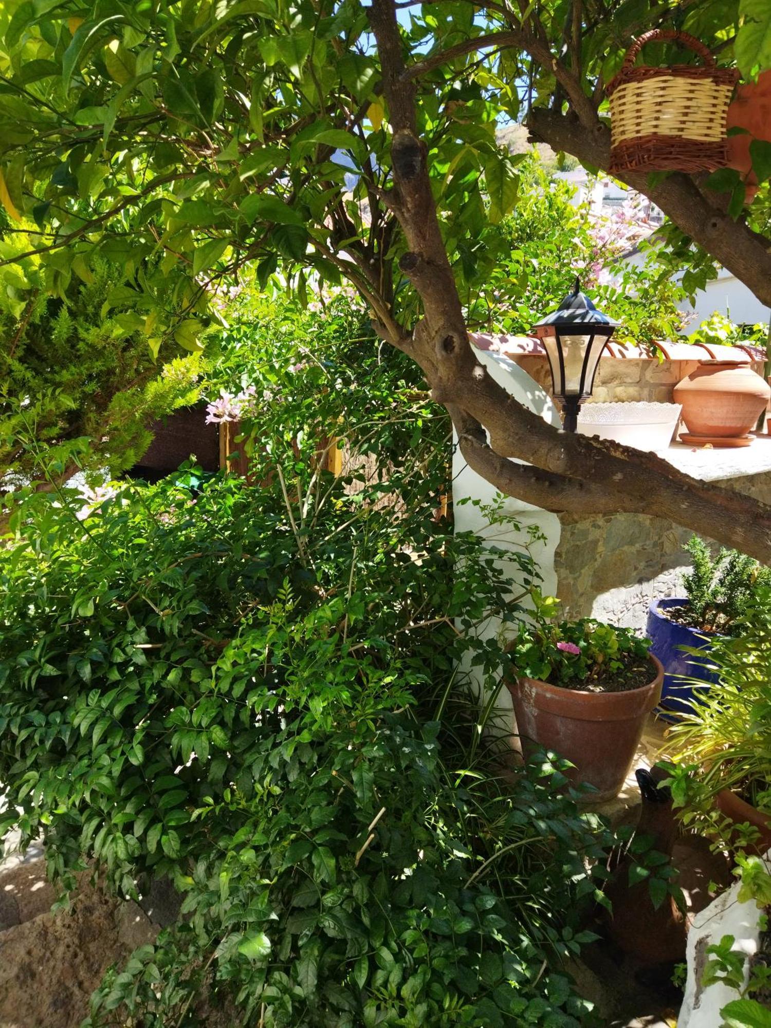 Gasthaus Casa Santana Segura Tejeda  Zimmer foto